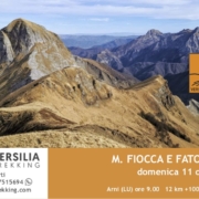 11 ottobre